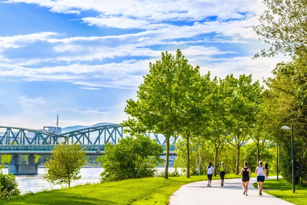 Few,Women,Running,And,Cycling,In,Beautiful,Green,Park,Alongside Jogging in a park in Vienna, Austria
