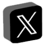 x-icon copy